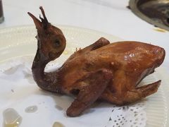 -鸽鸟轩(石岐店)
