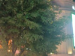 -星巴克(哈尔滨松雷店)