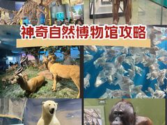 -国家自然博物馆