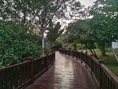 -金鸡岭桥头公园