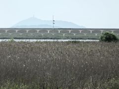 -金山嘴渔村