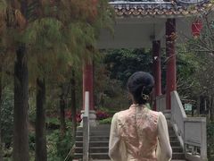 -金山植物公园