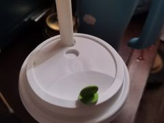 -树夏(金楠天街店)