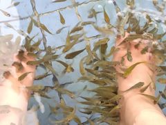 -太白山御龙湾温泉