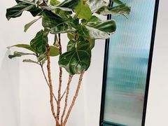 -将相和·海鲜蒸饺大连菜