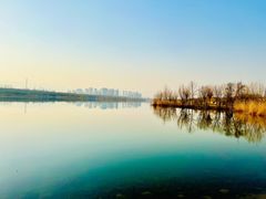 -永定河休闲森林公园