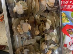 -万尾金滩