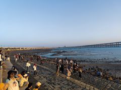 -演武大桥观景平台