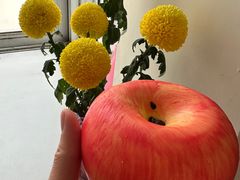 -福晶园益生菌蛋糕面包(紫荆山店)