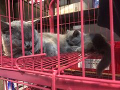 -第三空间·趣味桌游·轰趴.室内CS.剧本杀(大武汉1911店)