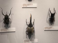 -天津自然博物馆