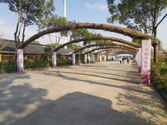 -南汇桃花村