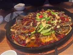 -老板恋上鱼(恒隆广场店)