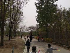 -燕郊植物园