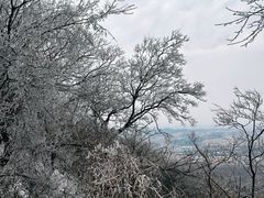 -紫金山山顶公园