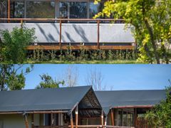 -黄海国家森林公园