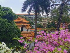-深圳仙湖植物园-停车场