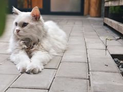 -创艺无限·赵春香微妙艺术馆