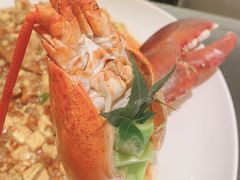 麻婆豆腐烧波士顿-甄御•海鲜新青岛菜(麦岛店)