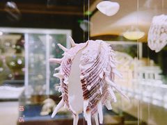 -青岛贝壳博物馆