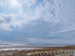 -南汇嘴观海公园