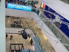 -上海颛桥万达广场