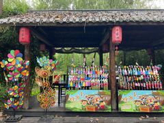 -合肥滨湖国家森林公园