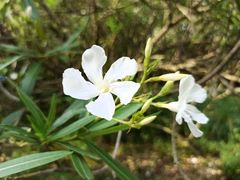 -共青国家森林公园-售票处