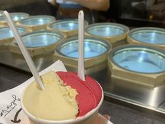 油柑茉莉-Dip in Gelato(富民路店)