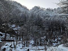 -秦岭风景区