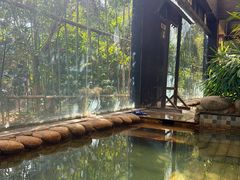 -三江森林温泉度假区