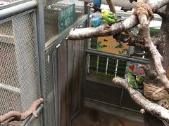 -正佳雨林生态植物园