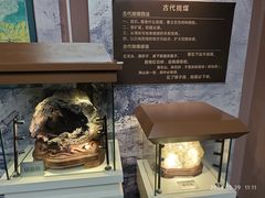 -陕西自然博物馆