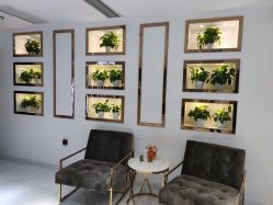 -MIVI野生眉纹绣纹眉