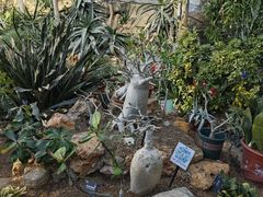 -国家植物园南园