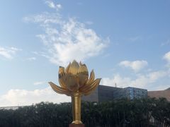 -金莲花广场