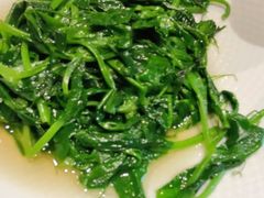 -羊门客在·烤盐池滩羊·川菜