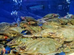 -小铜锣湾海鲜家常菜馆(河西店)