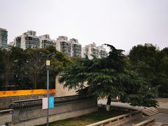 -东水关遗址公园