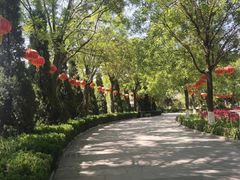 -大槐树寻根祭祖园