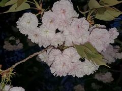 -燕儿岛山公园