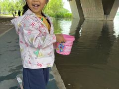 -绿堤公园