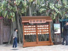-天坛大佛