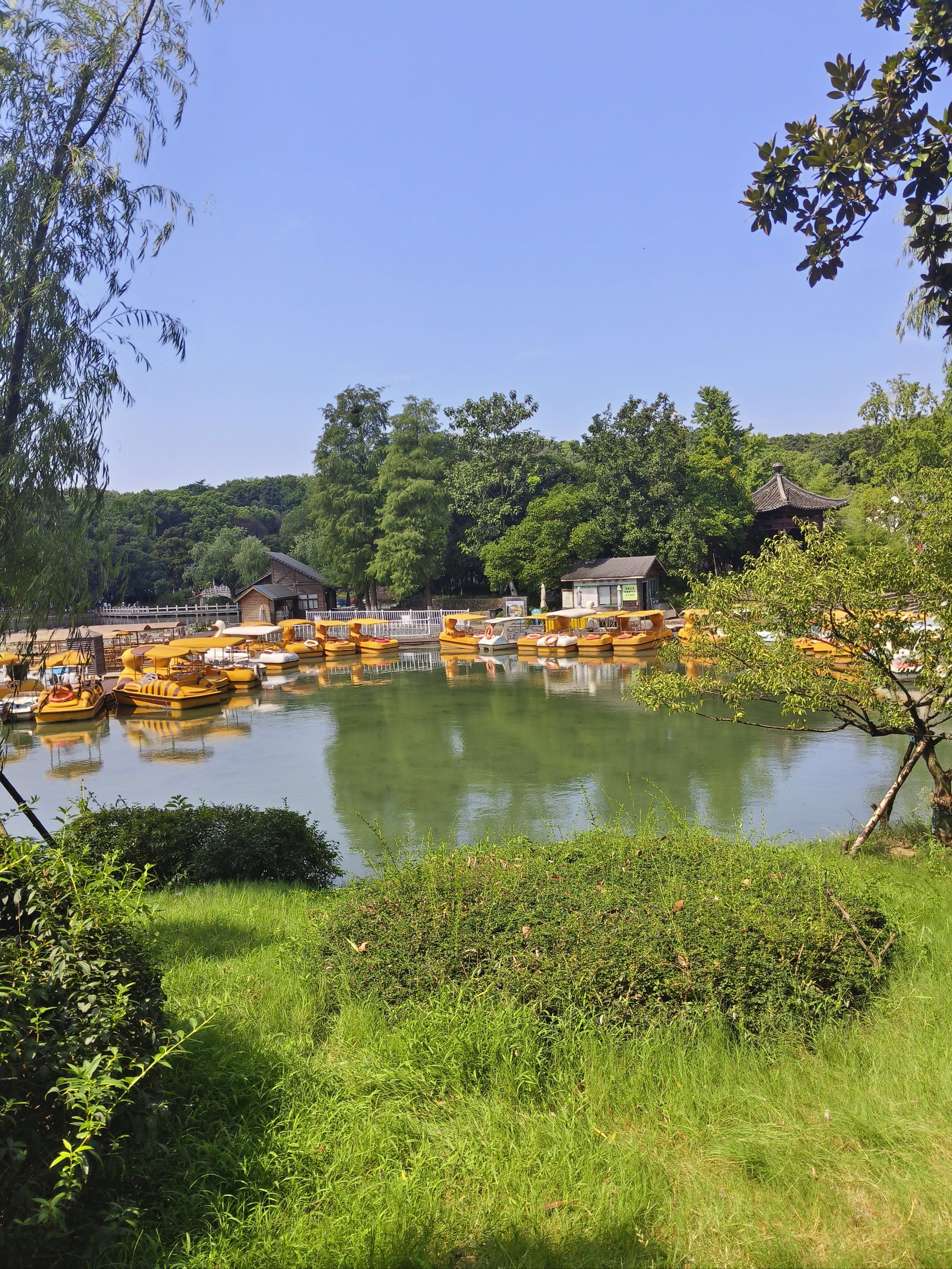 打卡珍珠泉,里面风景还是不错的,主要绕水库转了一圈,天太热走马观花.