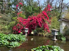 -深圳国际园林花卉博览园