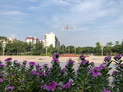 -漳州华阳体育馆