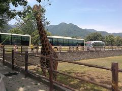 -西安秦岭野生动物园