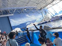 -秦皇岛乐岛海洋王国