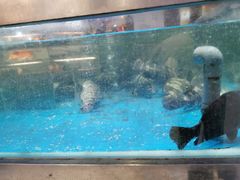 -盒马鲜生(悦峰店)