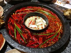 -蜀大侠火锅(建设路第五大道店)